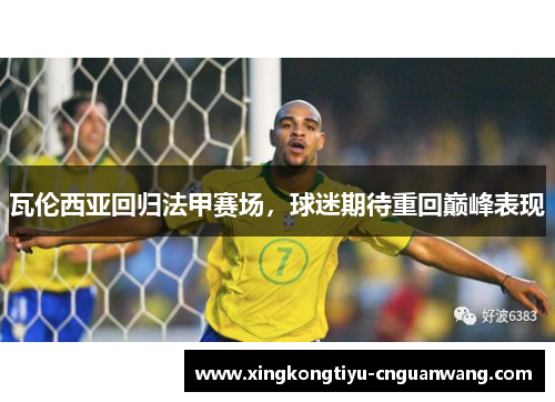 瓦伦西亚回归法甲赛场，球迷期待重回巅峰表现